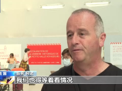受铁路罢工影响 法国近三分之一城际和区域列车运行被取消