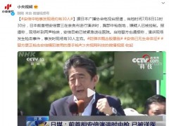 安倍中枪事发现场约有30人