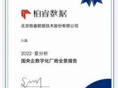 柏睿数据入选爱分析《国央企数字化厂商全景报告》，荣膺数据库厂商代表