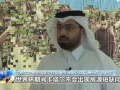 卡塔尔世界杯组委会官员：将全力保障球迷住宿与观赛