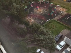 俄罗斯莫斯科遭遇雷雨天气 致1死5伤