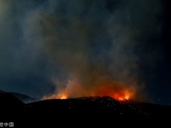 美媒：加州山火起火面积已达4.8平方公里，危及500棵加州红杉