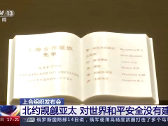 上合组织发布会：北约觊觎亚太 对世界和平安全没有建设性