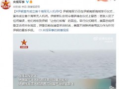 伊朗宣布成立首个海军无人机师