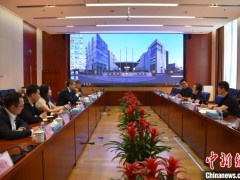 蓝迪国际智库赵白鸽：“一带一路”倡议为中国与格鲁吉亚深化合作提供了契机