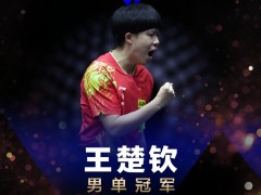 WTT球星挑战赛布达佩斯站：王楚钦夺男单冠军