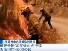 360人死亡！这个国家，最高温度达45.7℃！超30处山火持续肆虐