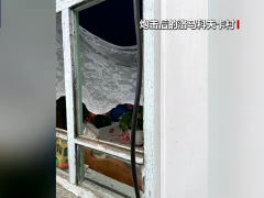 俄称继续打击乌阵地 乌称前线局势可控