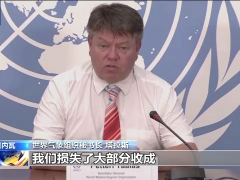 世界气象组织：欧洲高温天气至少将持续到下周