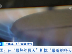 德国：在“最热的夏天”，担忧“最冷的冬天”
