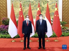 佐科东亚之行首站到中国，印尼学者：中国是东盟搬不走的邻居